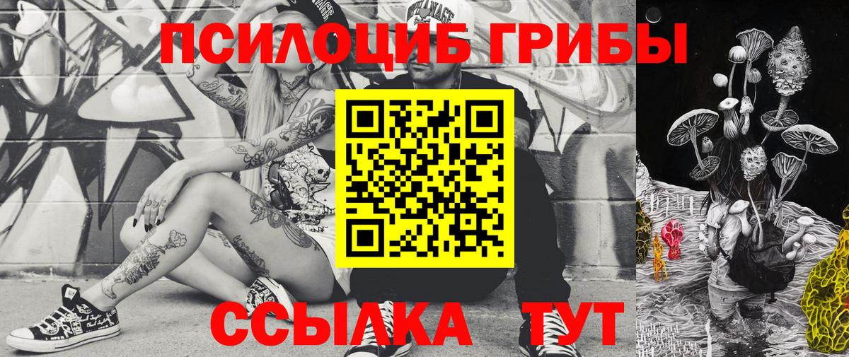 Псилоцибиновые грибы Psilocybine cubensis Гусиноозёрск